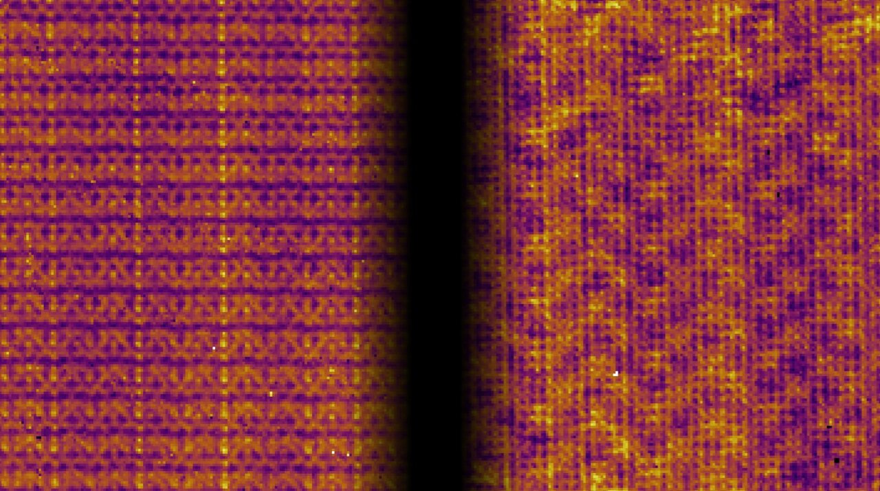 Striped or checkered? Magnetic field influences competing electronic patterns in a graphene-like quantum material