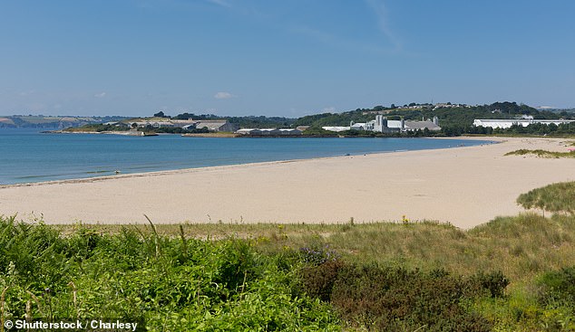 Since being built in 2018, the huts have never been rented out and have failed to make any money
