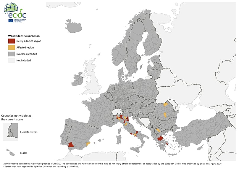 Geographical distribution of the areas affected by West Nile virus during the 2026 transmission season, up to 15 July.