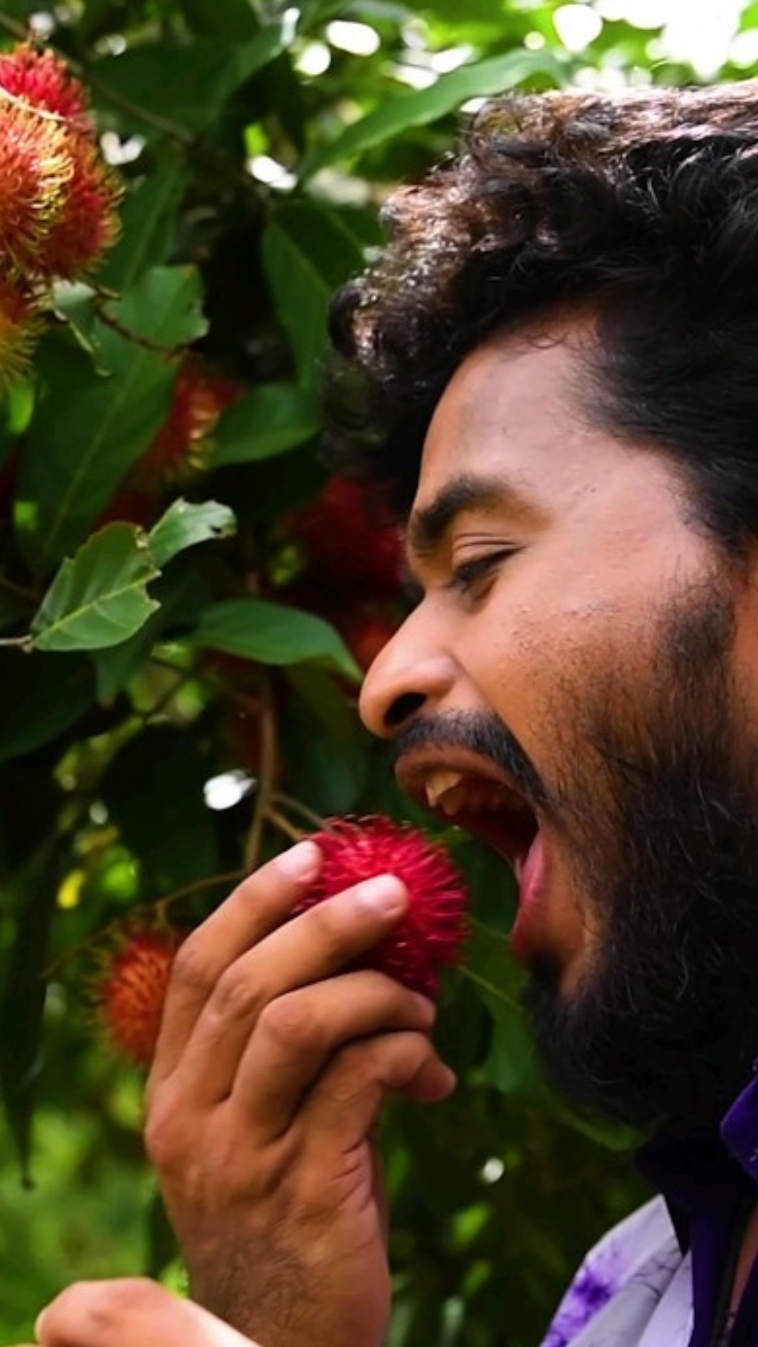 Rambutan harvest and homemade rambutan chutney