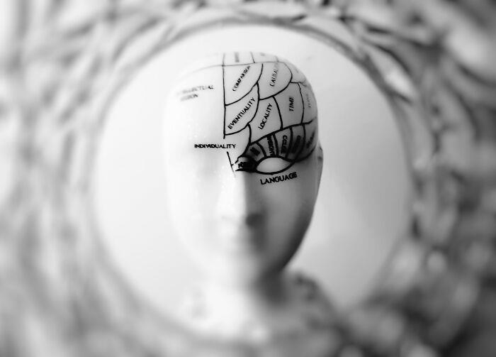 45 Myths And Misconceptions That Some People Mistakenly Believe Are Actually True