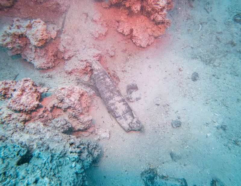 Wood from a Byzantine shipwreck on the bottom of the Adriatic Sea near Polace on the island of Mljet