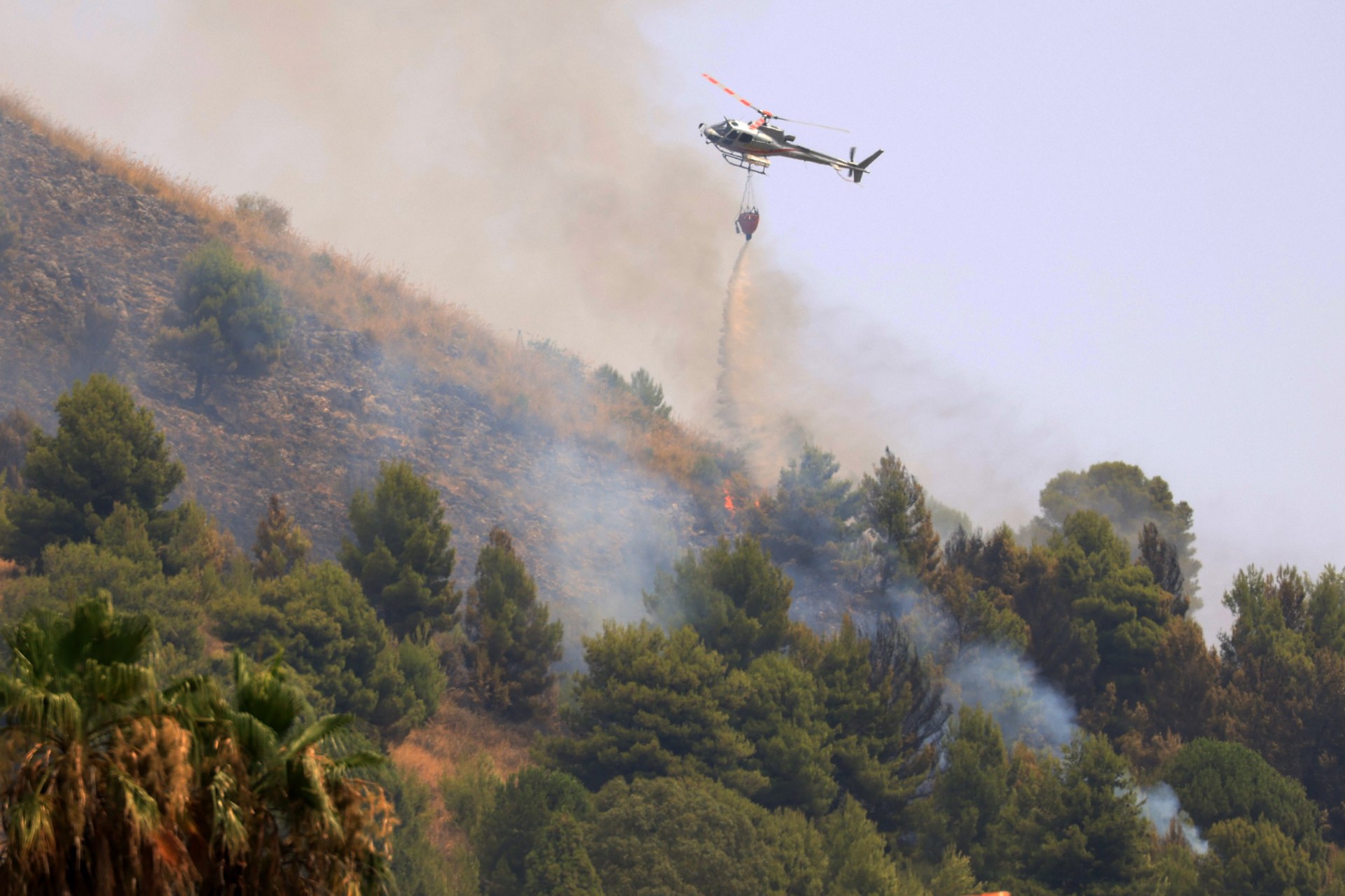 PALERMO, ITALY - JULY 22: Aircraft and helicopters battle as wildfires continue to burn in several parts of Sicily in the Casaboli forest, located in the mountainous area between the towns of Monreale and Pioppo near Palermo, Italy, on July 22, 2026. (Photo by Alberto Lo Bianco/Anadolu via Getty Images)
