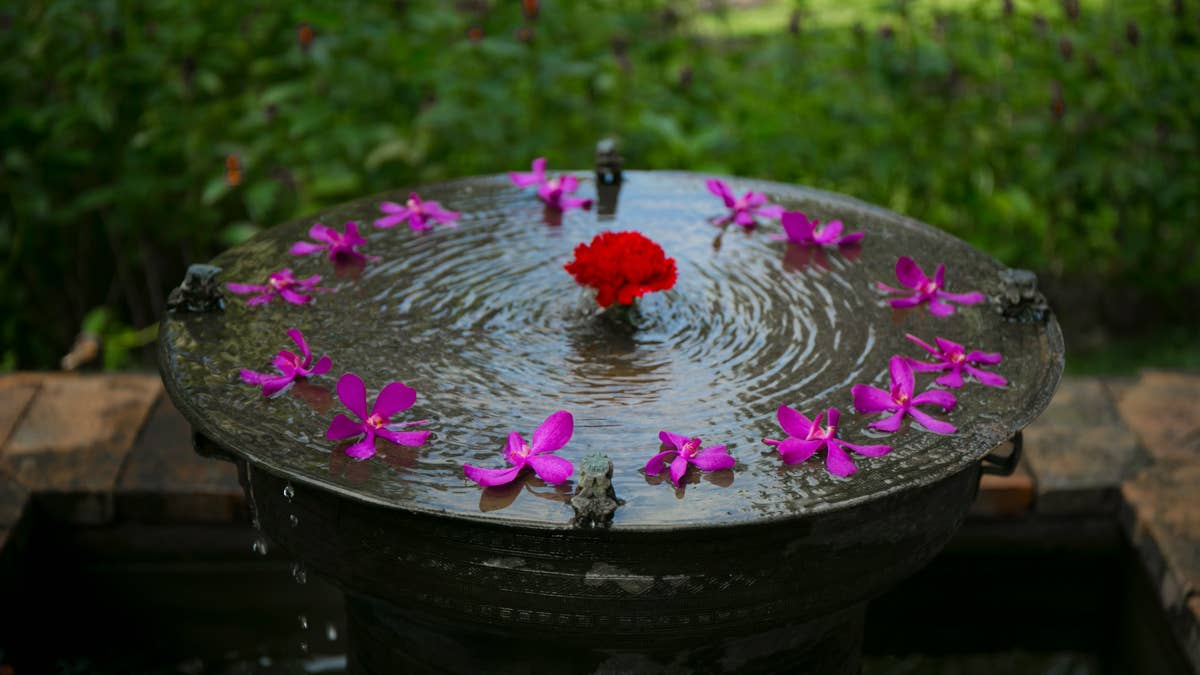 round-black-bird-bath-with-purple-petaled-flowers-stockpack-unsplash