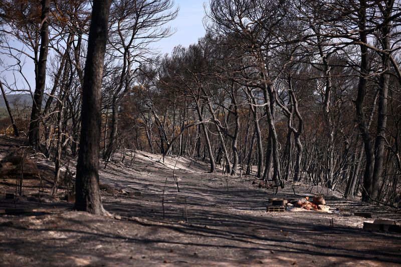Wildfire aftermath in Ponteves in Var department