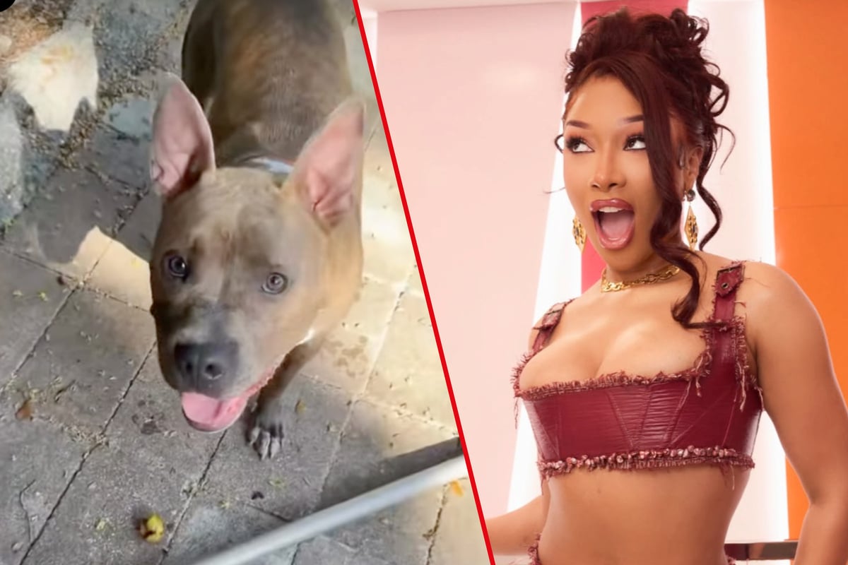 Megan Thee Stallion's dog leads her on an adventure: "I'm down for that!"