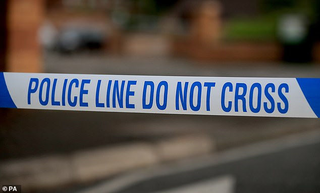 Woman killed cyclist and then murdered fiancé after he bailed her out
