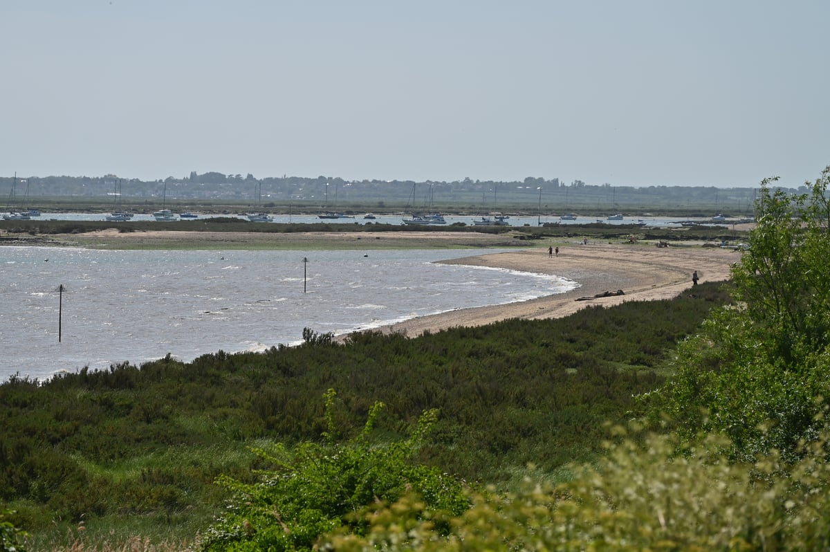 Mum and daughter drown trying to save child in sea off Essex beach