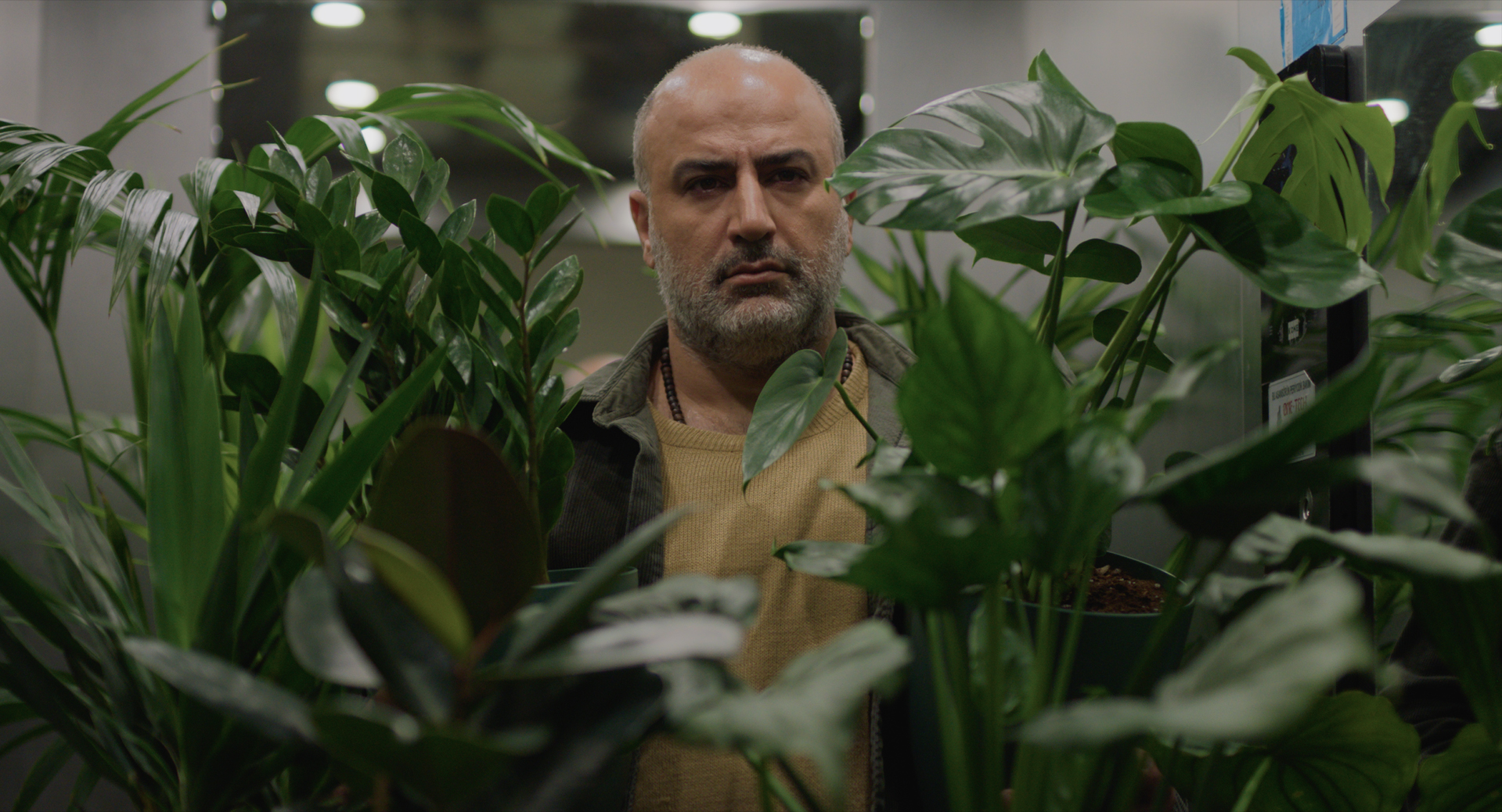 Salaud Morisset boards Ali Asgari's ‘A Bit of Light' ahead of Venice