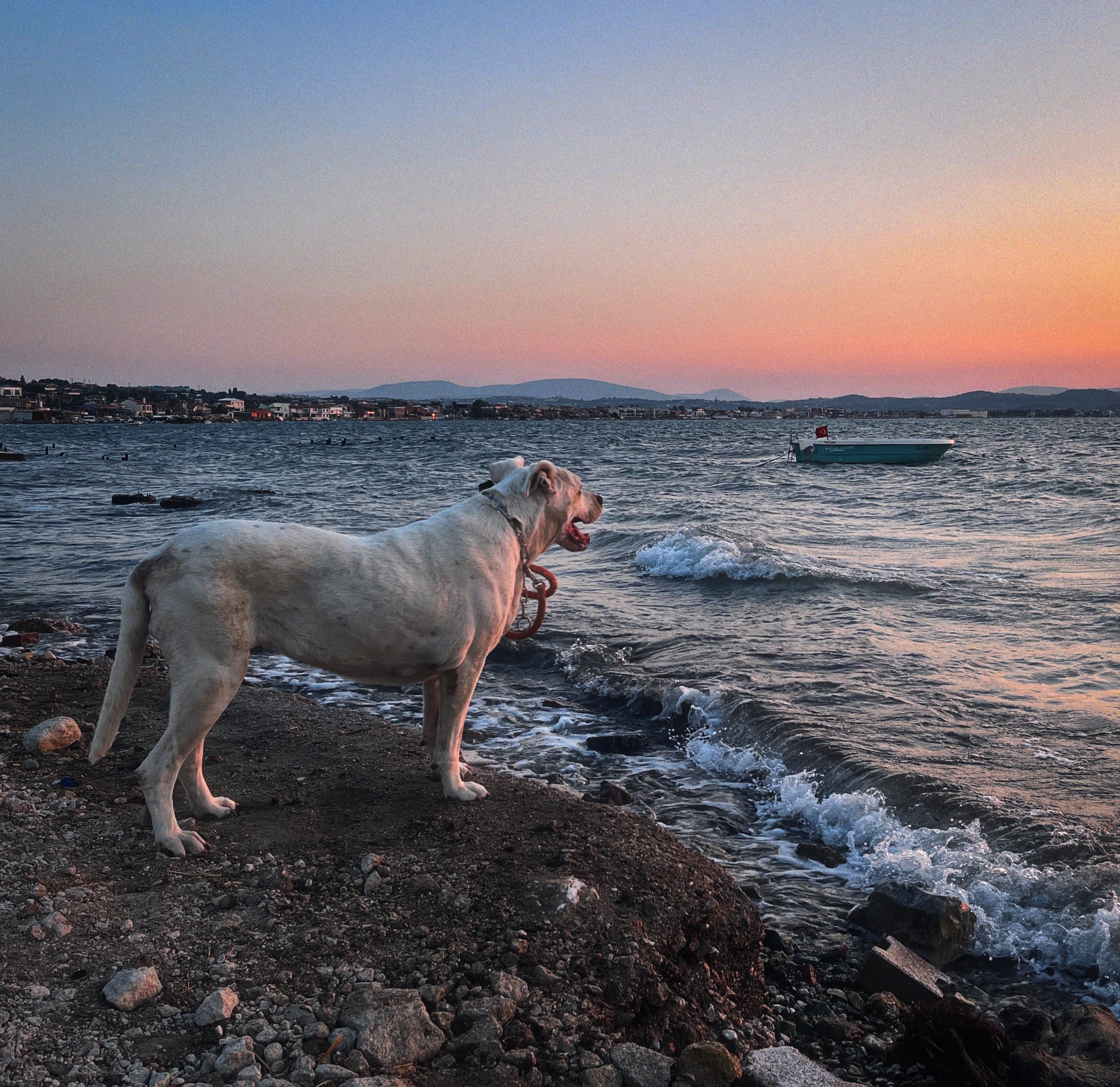 Sadetgr / Getty Images