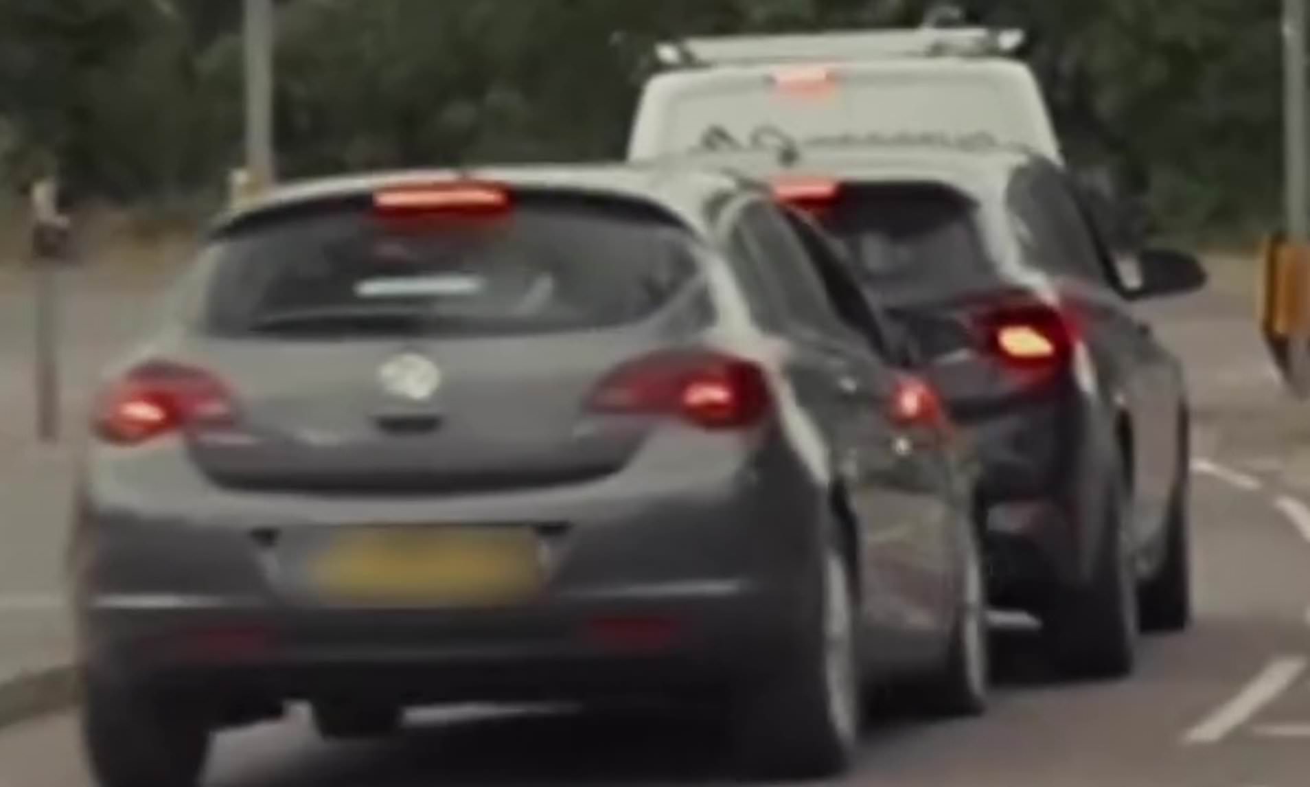 Moment female driver screams abuse at Nigel Farage out of car window before crashing seconds later