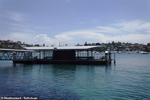 A man's body was pulled from the water at Rose Bay wharf (above) on Thursday night