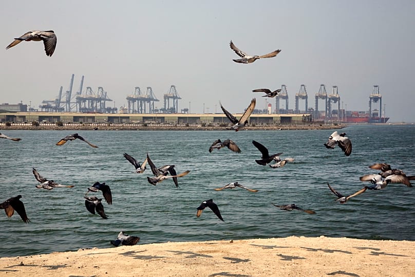FILE. Seagulls fly in front of the Red Sea port city of Jiddah, Saudi Arabia, Oct. 2019