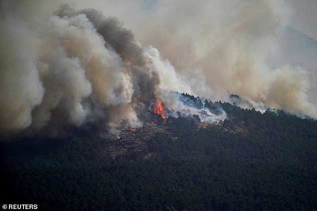 Smoke rises from the wildfire of La Mierla in Condemios de Arriba, Guadalajara, Spain July 22