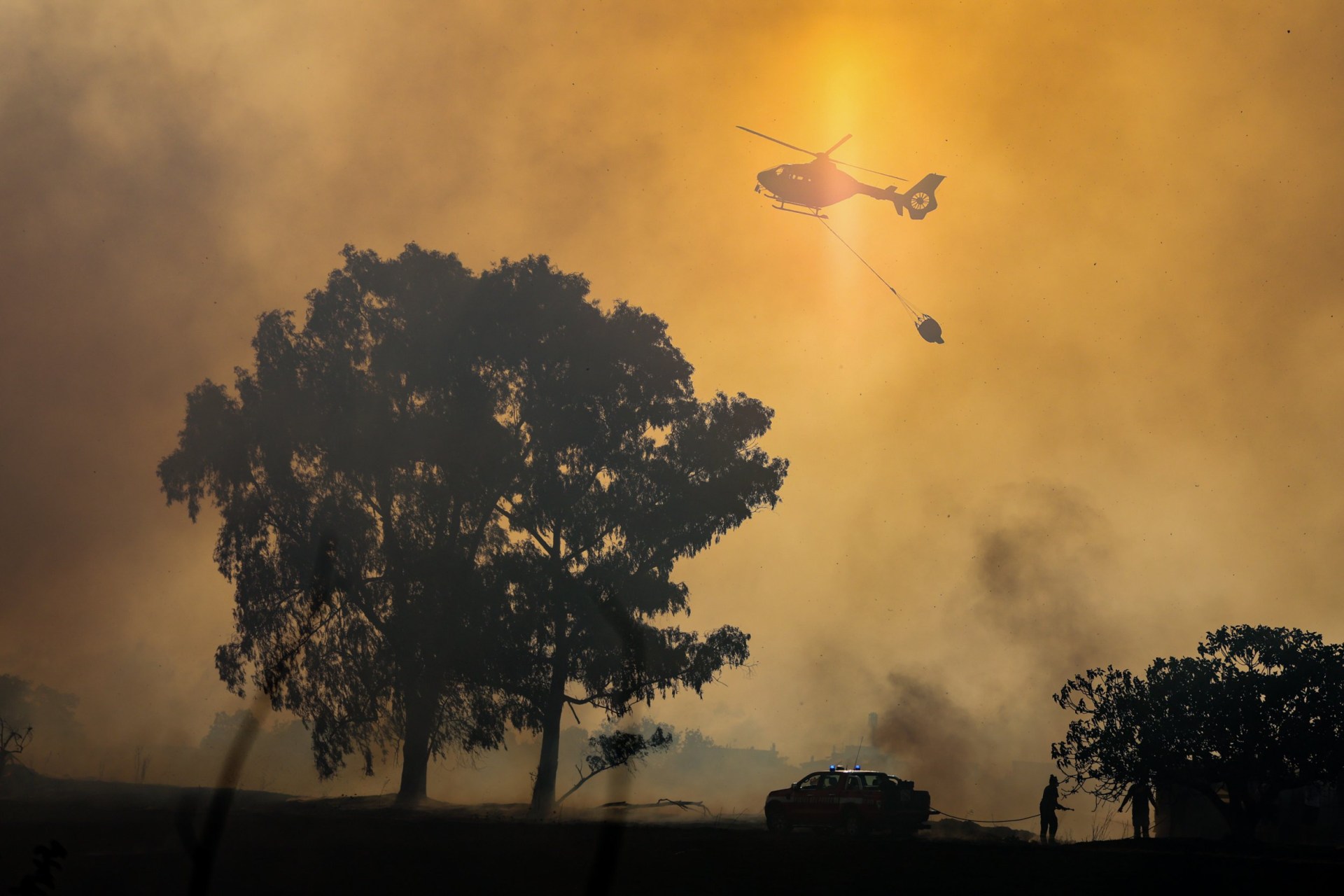 Firefighters and local police are on the scene of a wildfire in Rome, Tuesday, July 21, 2026 (Francesco Benvenuti/Lapresse via AP)