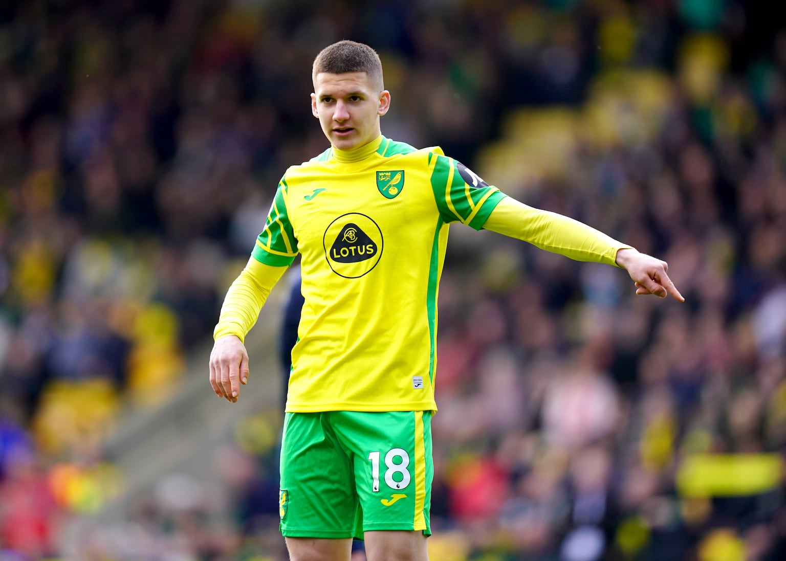 Tzolis has experience of the Premier League with Norwich