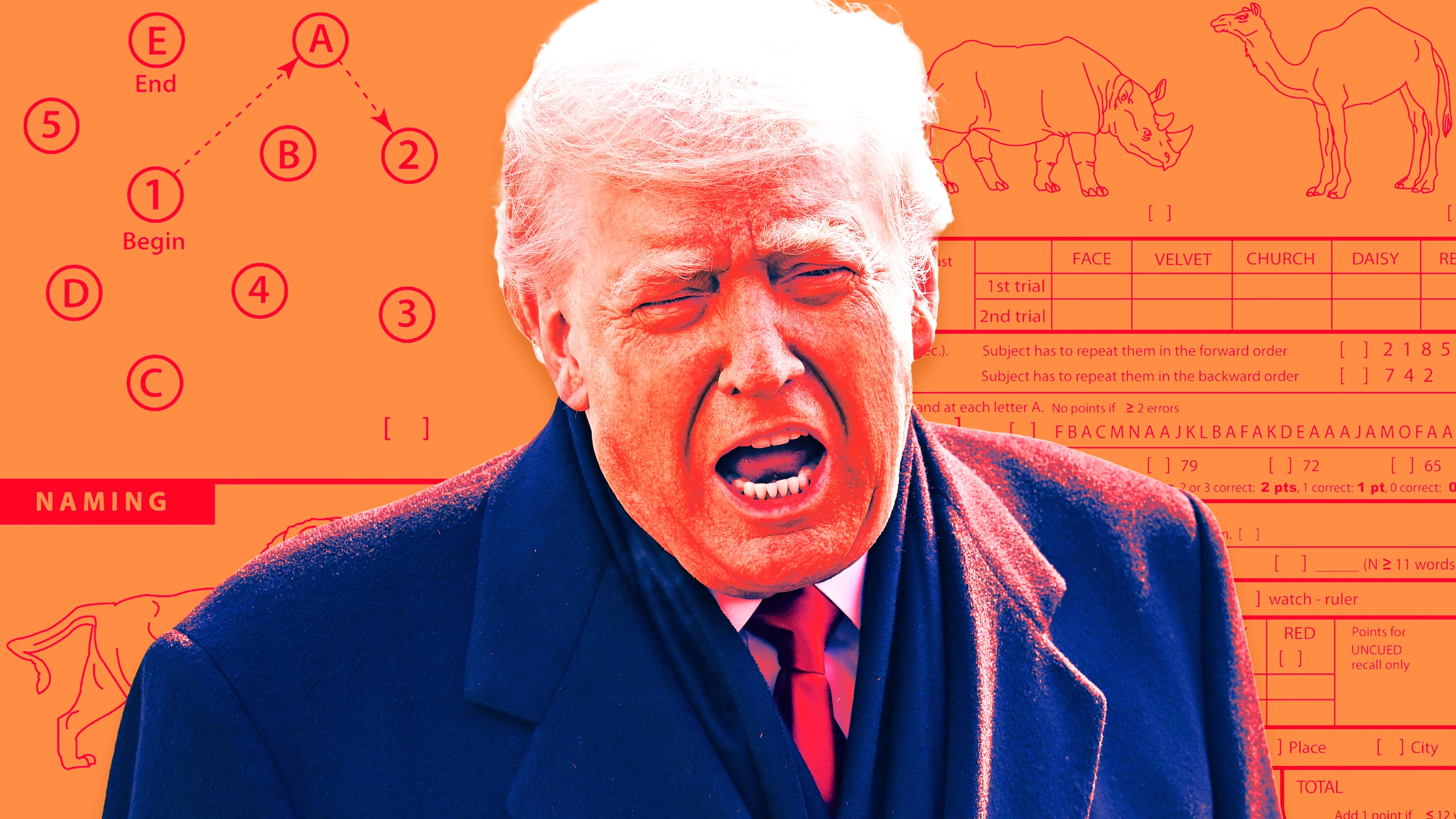 Donald Trump has taken the Montreal Cognitive Assessment Test four times. / Photo Illustration by Thomas Levinson/The Daily Beast/Getty
