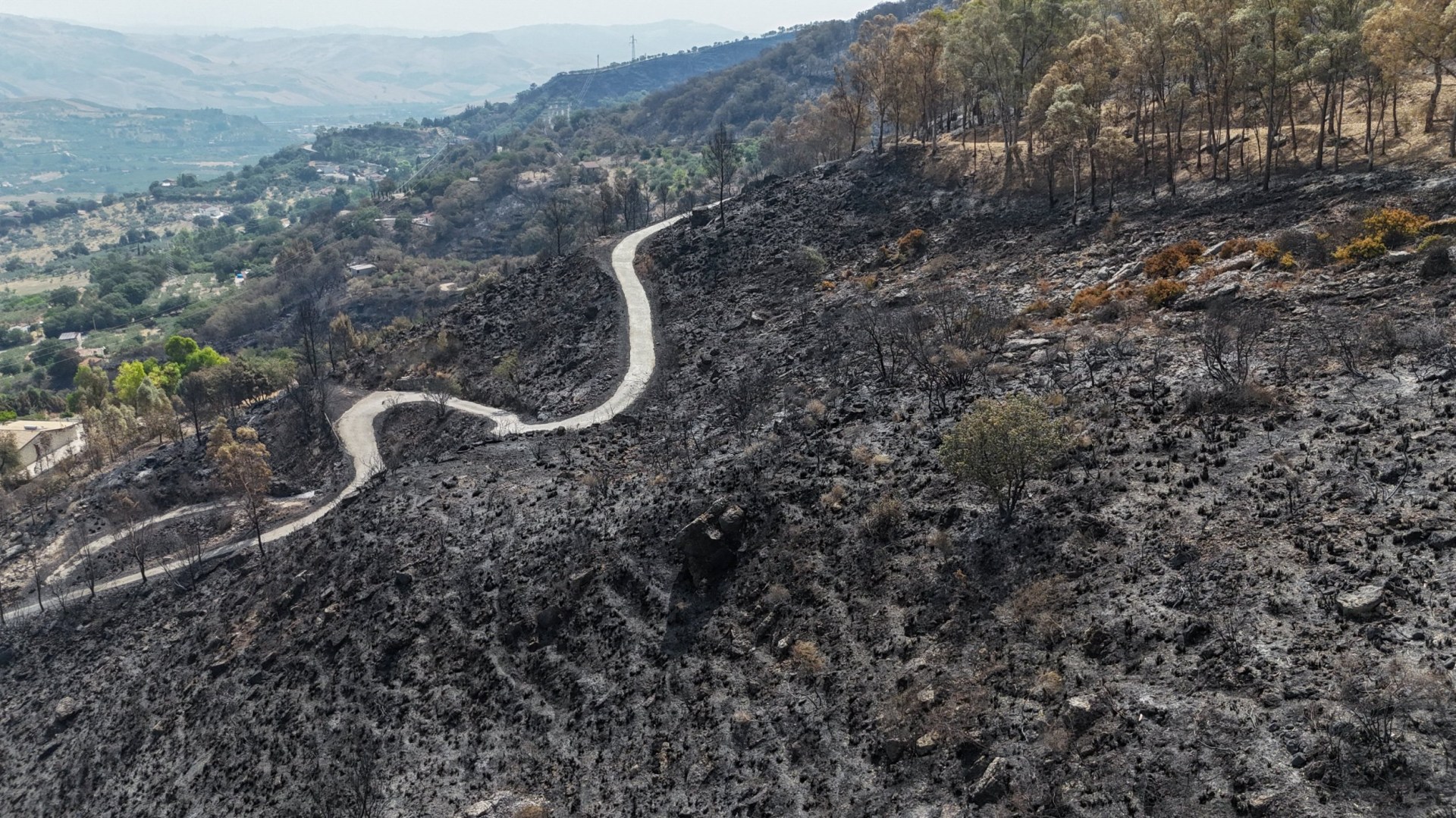 A drone view shows a winding road crossing a burned hillside following a wildfire in Santi Stefano, Sicily, Italy, July 22, 2026. REUTERS/Danilo Arnone