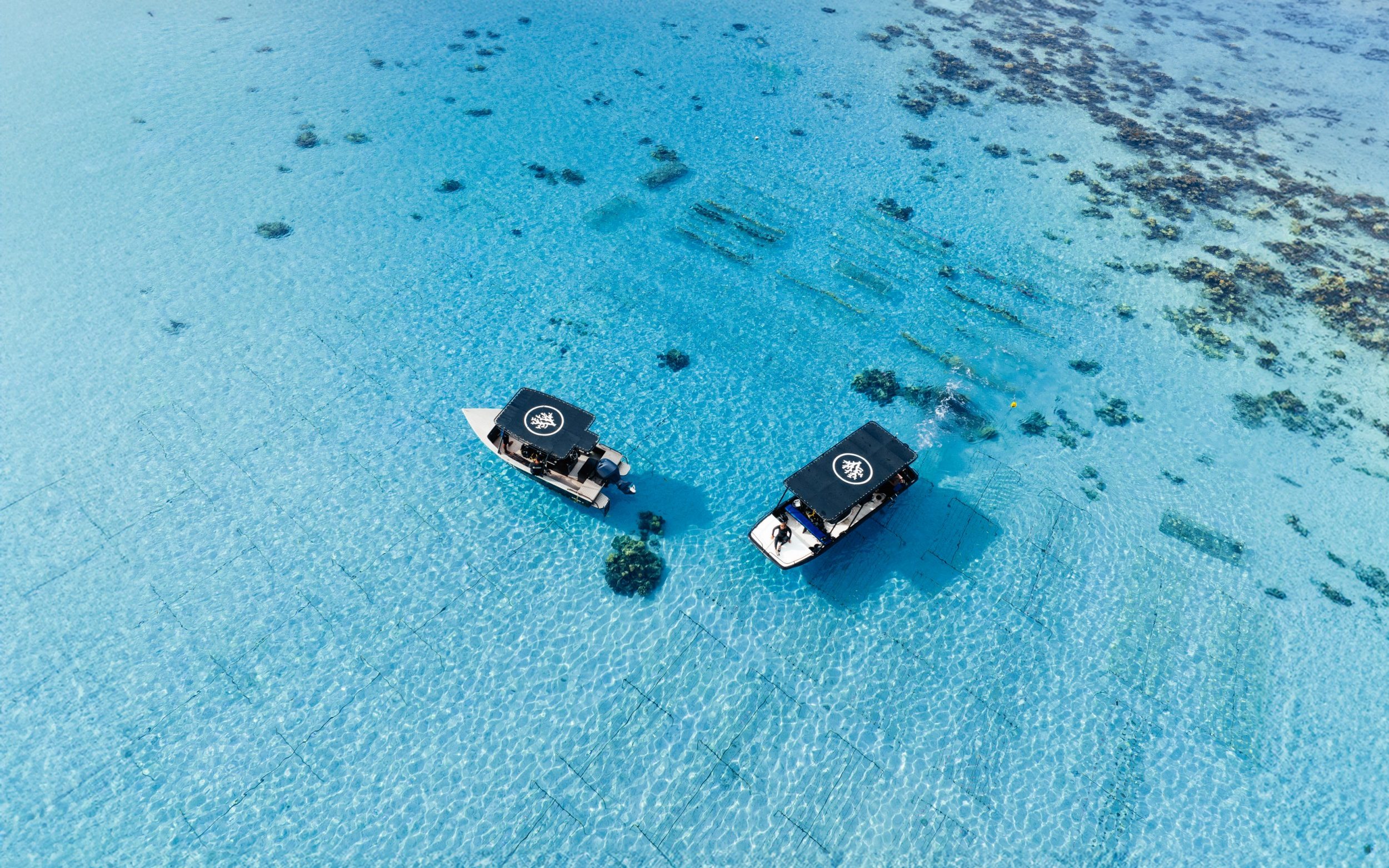 Titouan Bernicot's goal is to plant half a million corals by 2030, with operations in 10 countries around the world