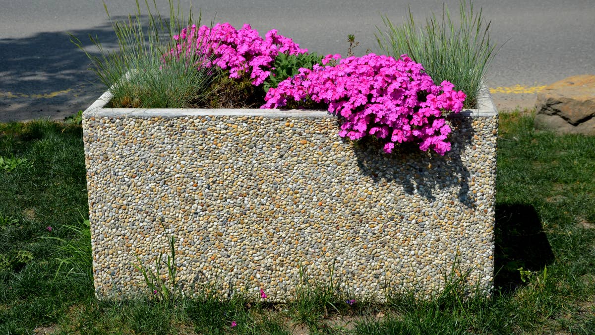 two-gray-flower-pots-at-the-parkting-on-the-terrace-with-an-artificial--reminiscent-of-a-lawn-in-a-pot-there-are-grases-and-purple-flowers-spa-park-near-the-restaurant