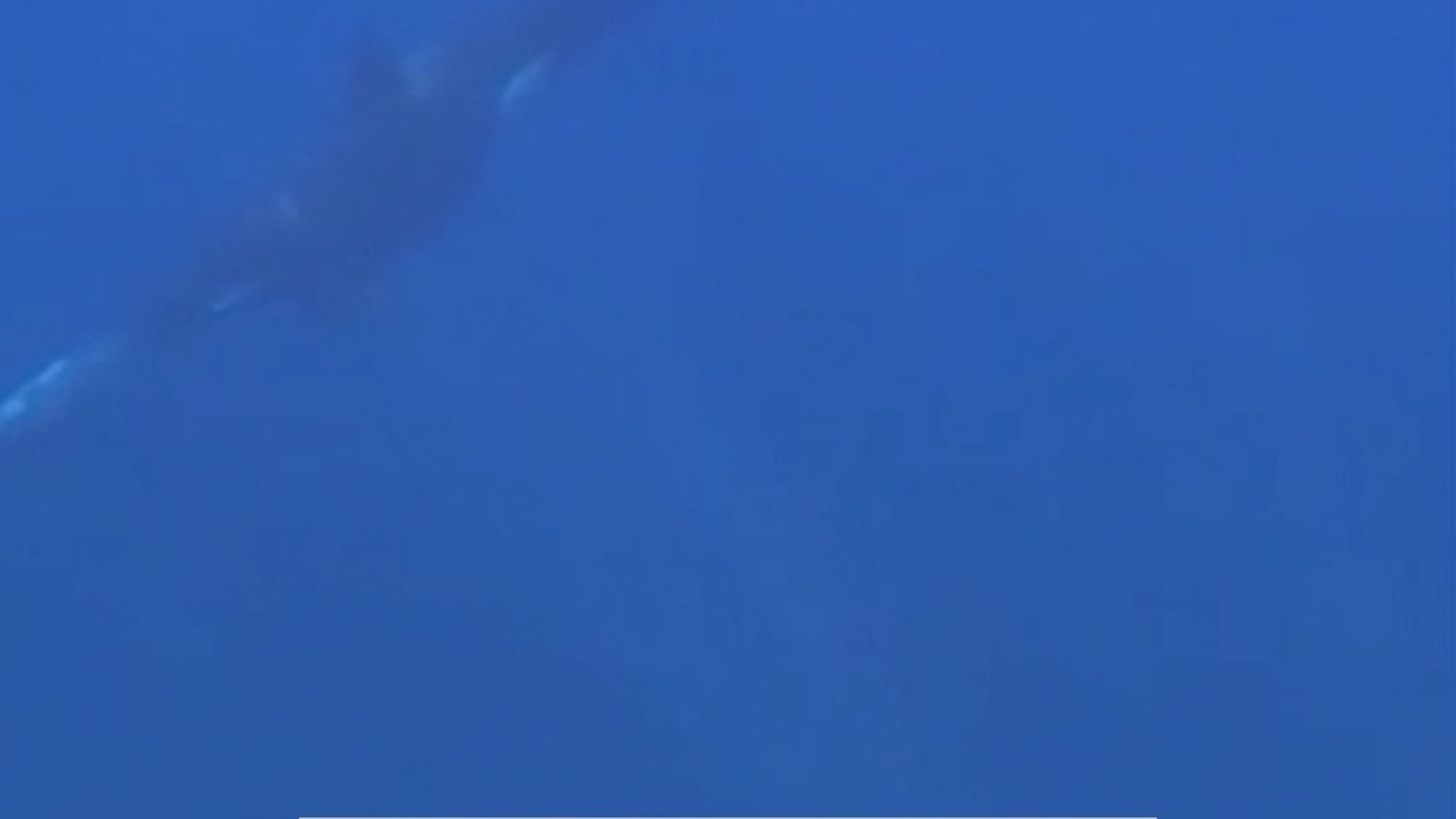 Rare orca behavior caught on camera