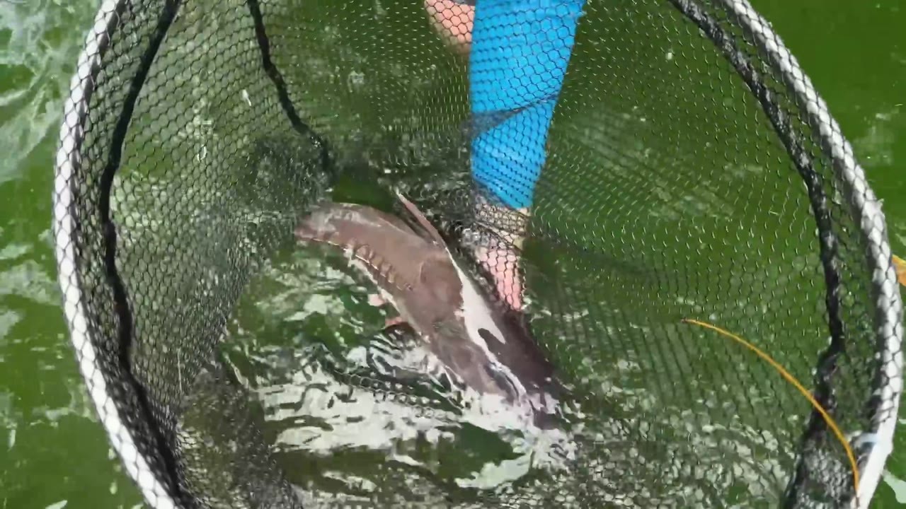 He stepped into a secret pool then hooked the monster that was ...