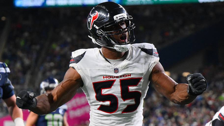 Danielle Hunter, NFL.