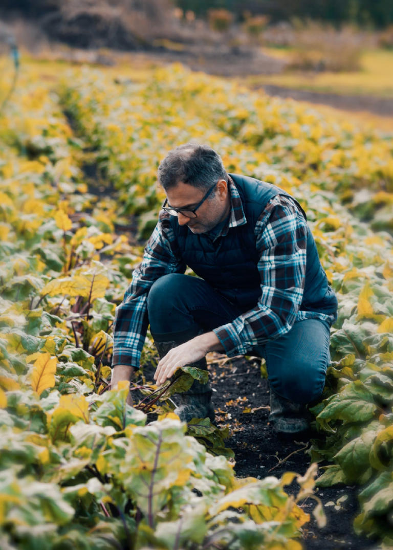 You need to leave Toronto for these unique farm-to-table experiences