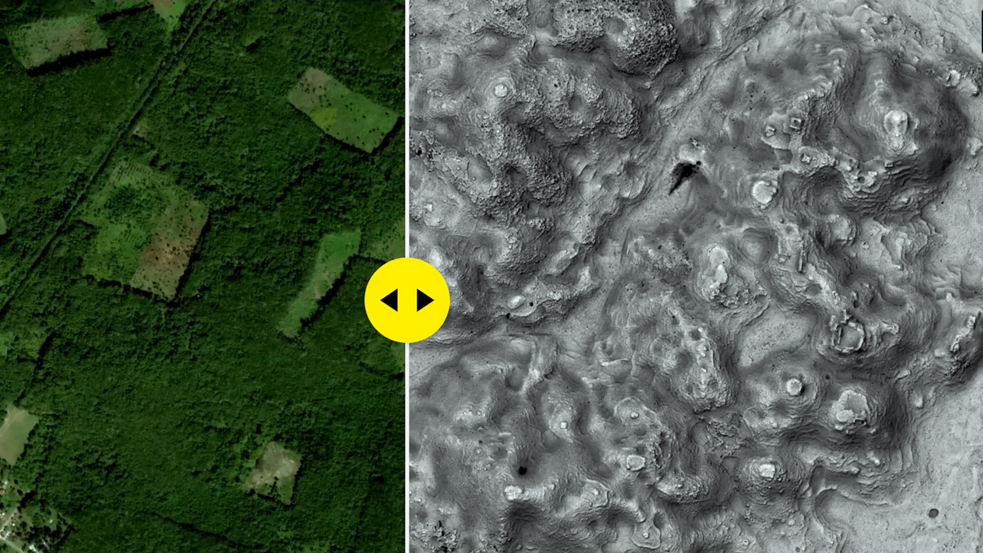 6,500 hidden Maya structures were sitting beside a Mexican highway