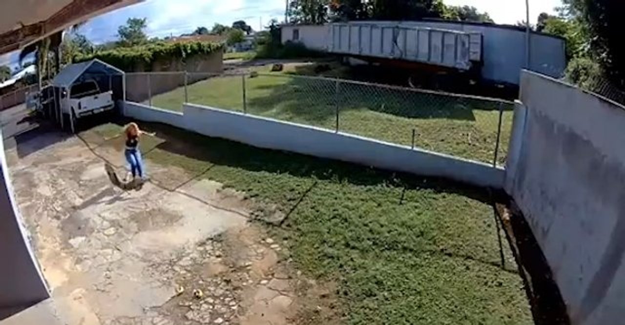 Woman falls after getting attacked by goose
