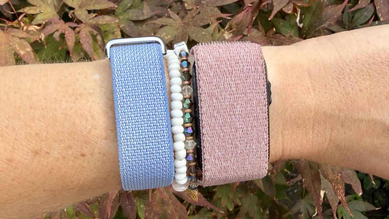 Garmin Cirqa vs Google Fitbit Air: 5 crucial differences you need to know