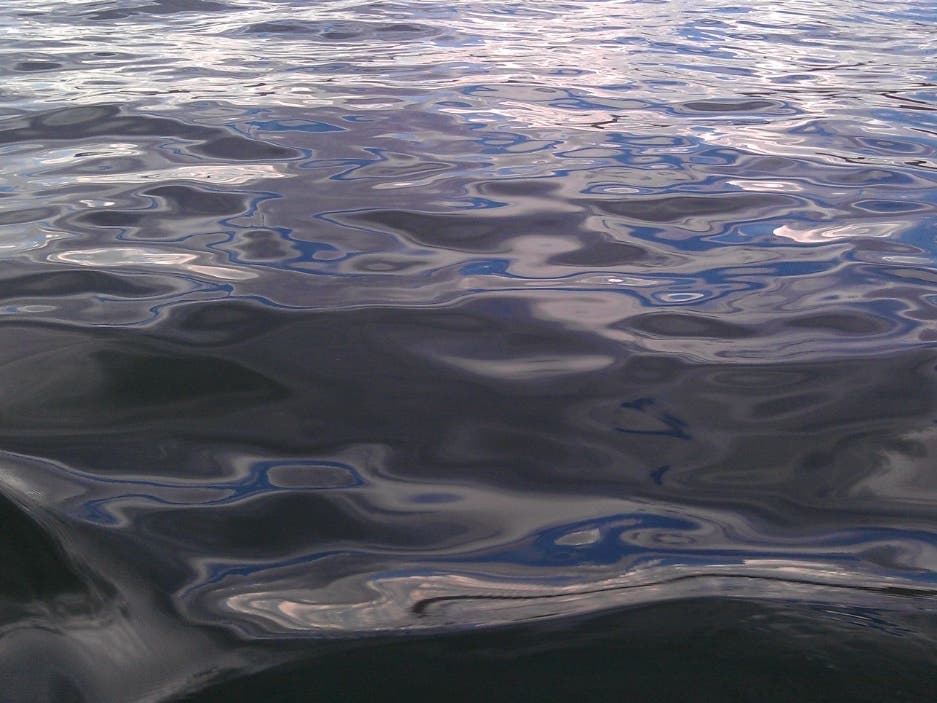 Coes Reservoir closed due to cyanobacteria