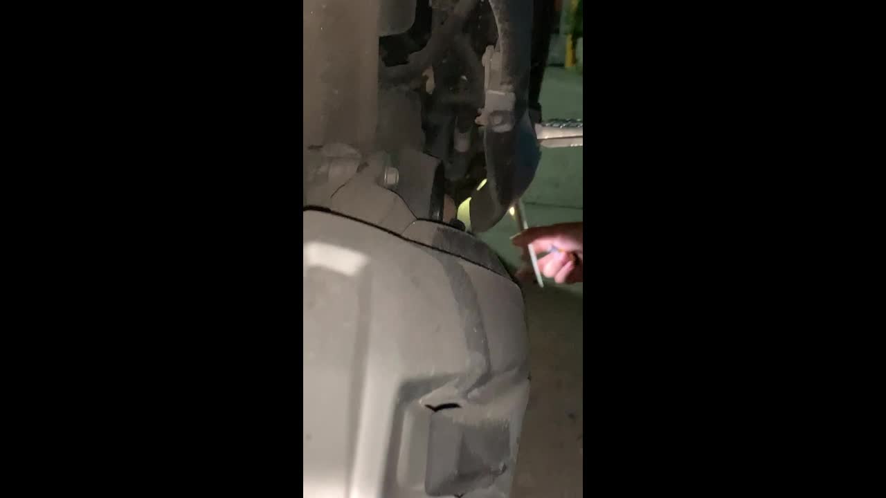 Rider removes python hiding inside his motorcycle