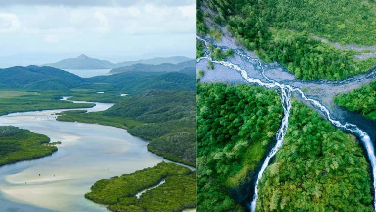 River vs tributary: Know the differences, meaning, features and examples