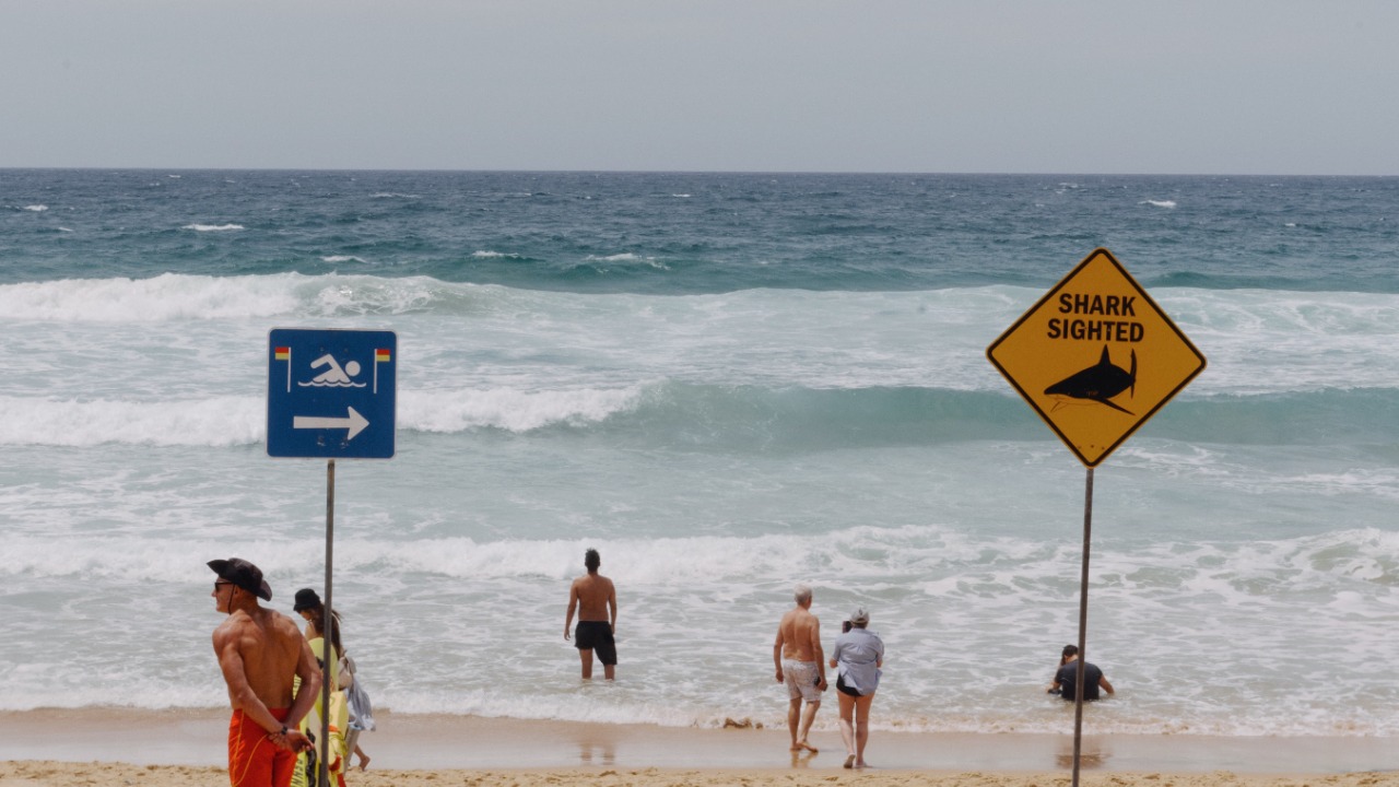 A swimmer was bitten at Jones Beach as shark sightings shut down New York shores