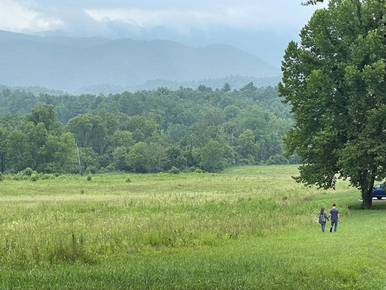 Several roads in Great Smoky Mountains National Park closed due to high ...