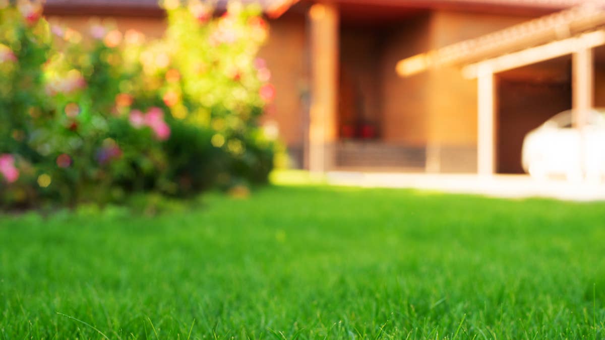 A master gardener reveals the 4 essential products for a lush summer lawn