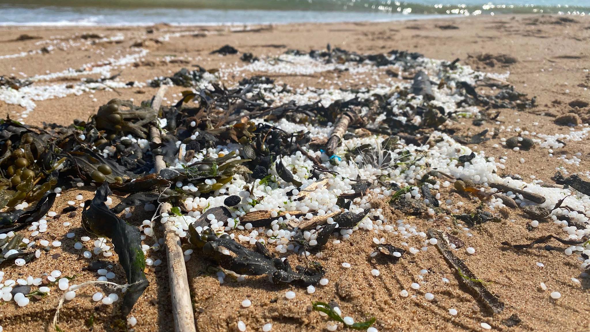 Mayor hits out at port's response to pellets spill