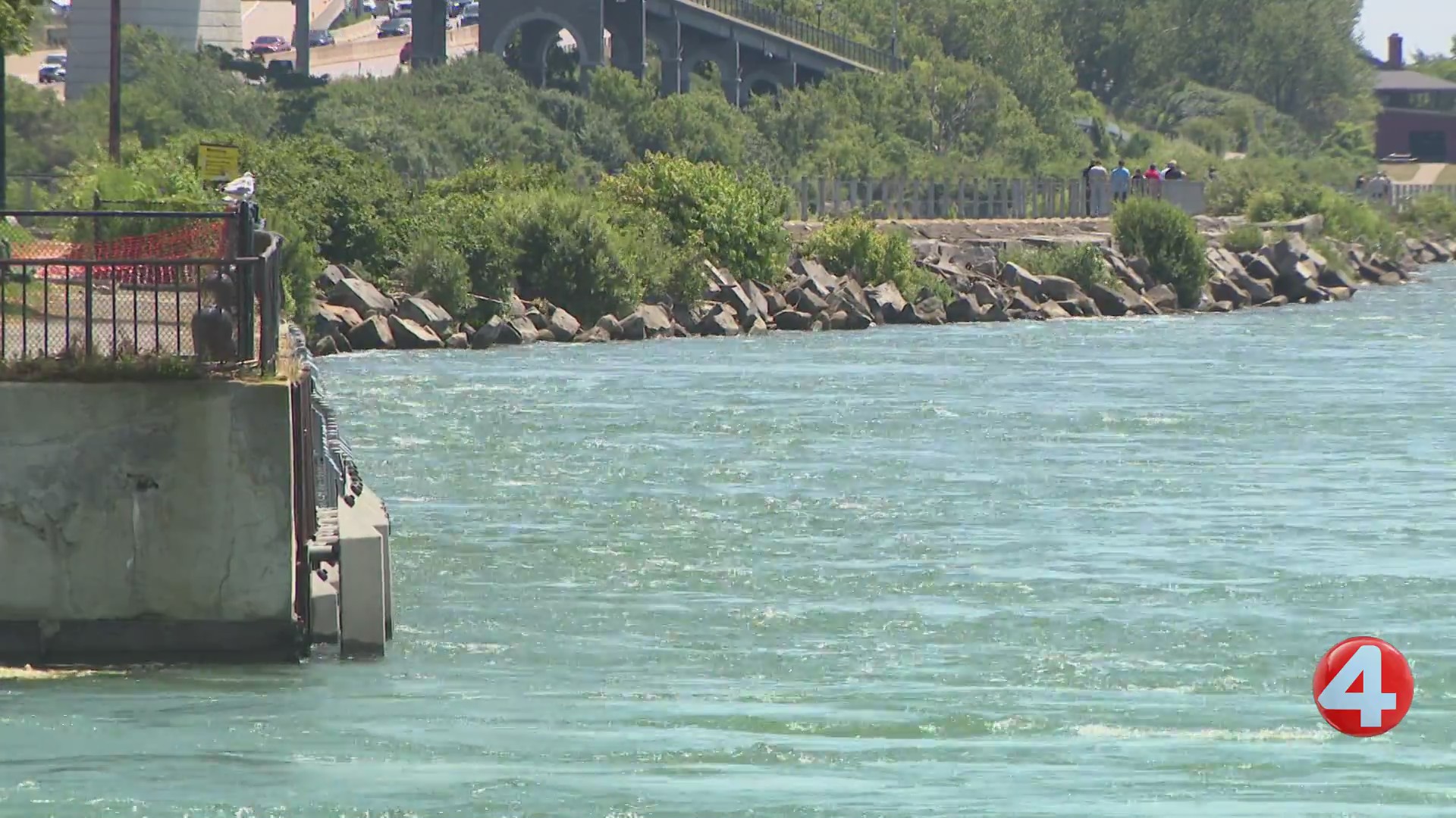 EPA, City of Buffalo cut ribbon on fish passage