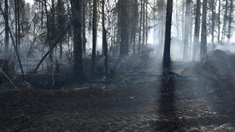 Minnesota DNR sues man who started Camp House fire in 2025