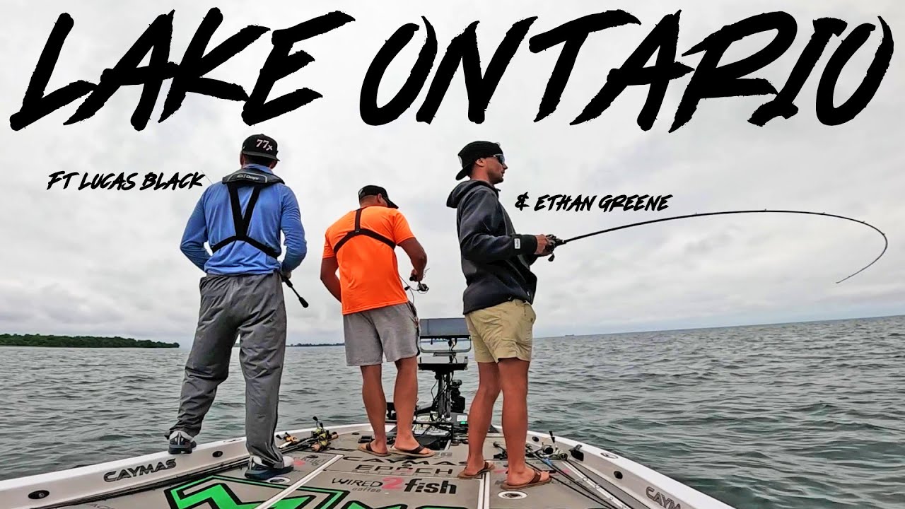 Smallmouth bass fishing on Lake Ontario with pros