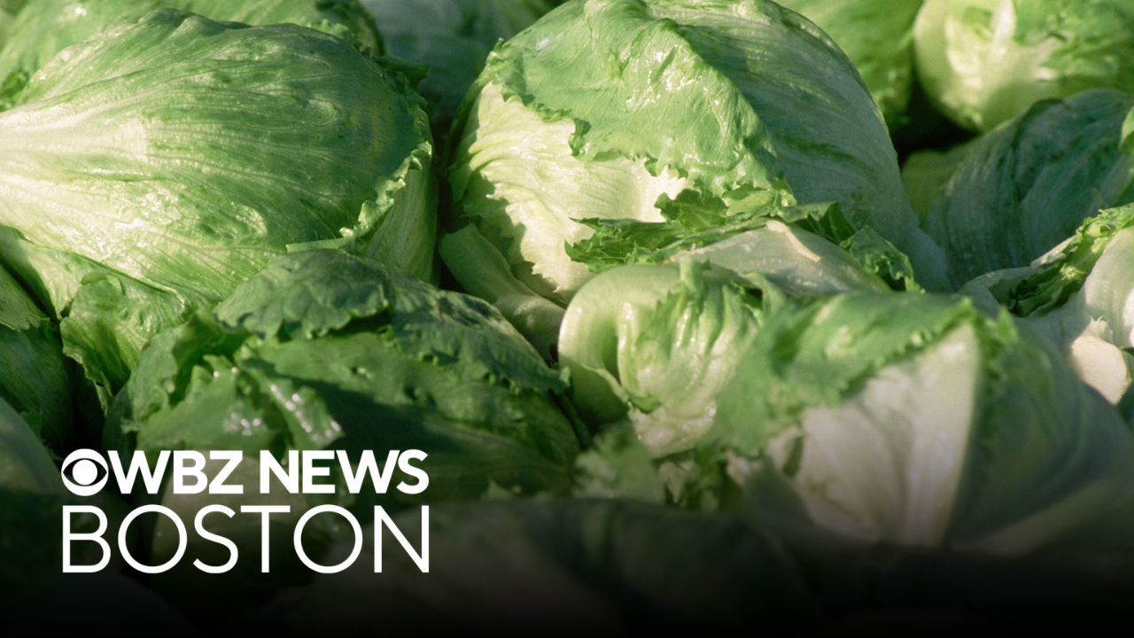 New Hampshire officials investigate cyclospora outbreak linked to lettuce