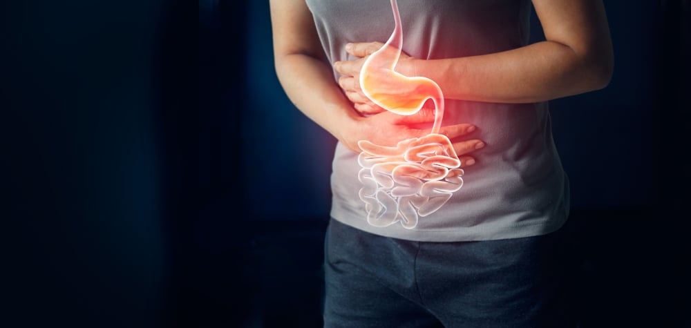 Palisade Bio draws bullish call, lead IBD drug advances toward phase 2