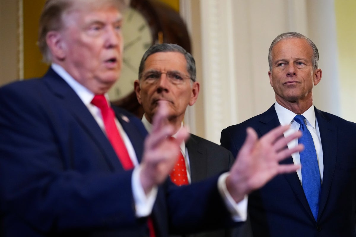 Frustrated Thune knocks Trump over voter ID bill