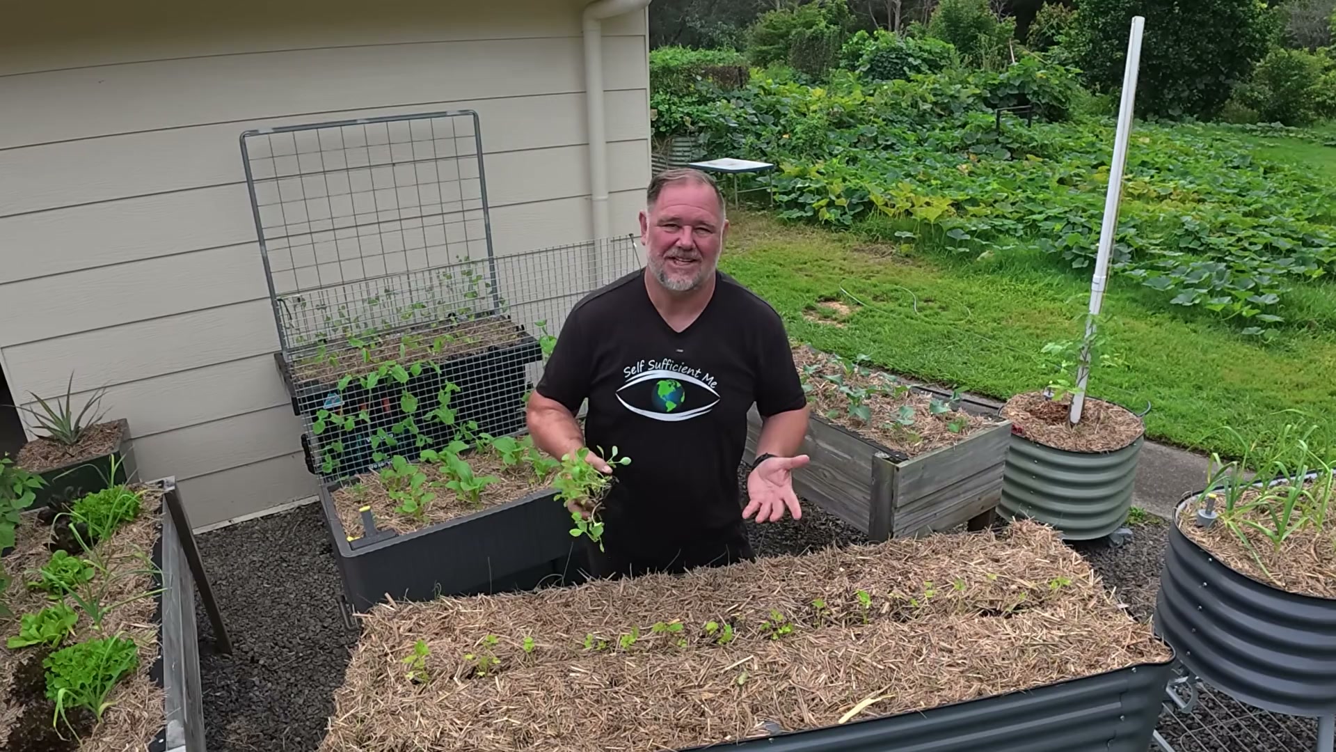 Why buying seedlings is smarter than you think