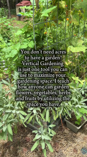 You don’t need a big backyard to grow fresh food