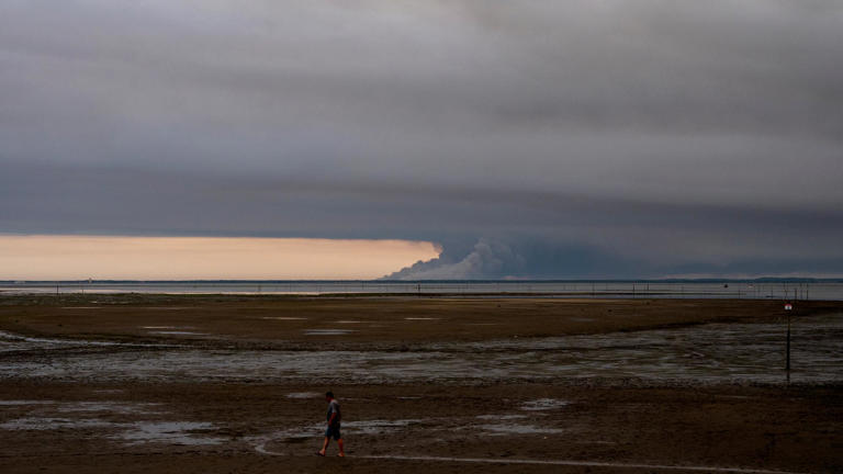 À Biscarrosse, le feu « apocalyptique » des Landes continue de