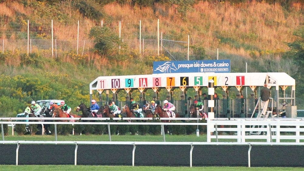 Jockey suffers broken bones, ribs in Presque Isle spill; HISA reviewing ...