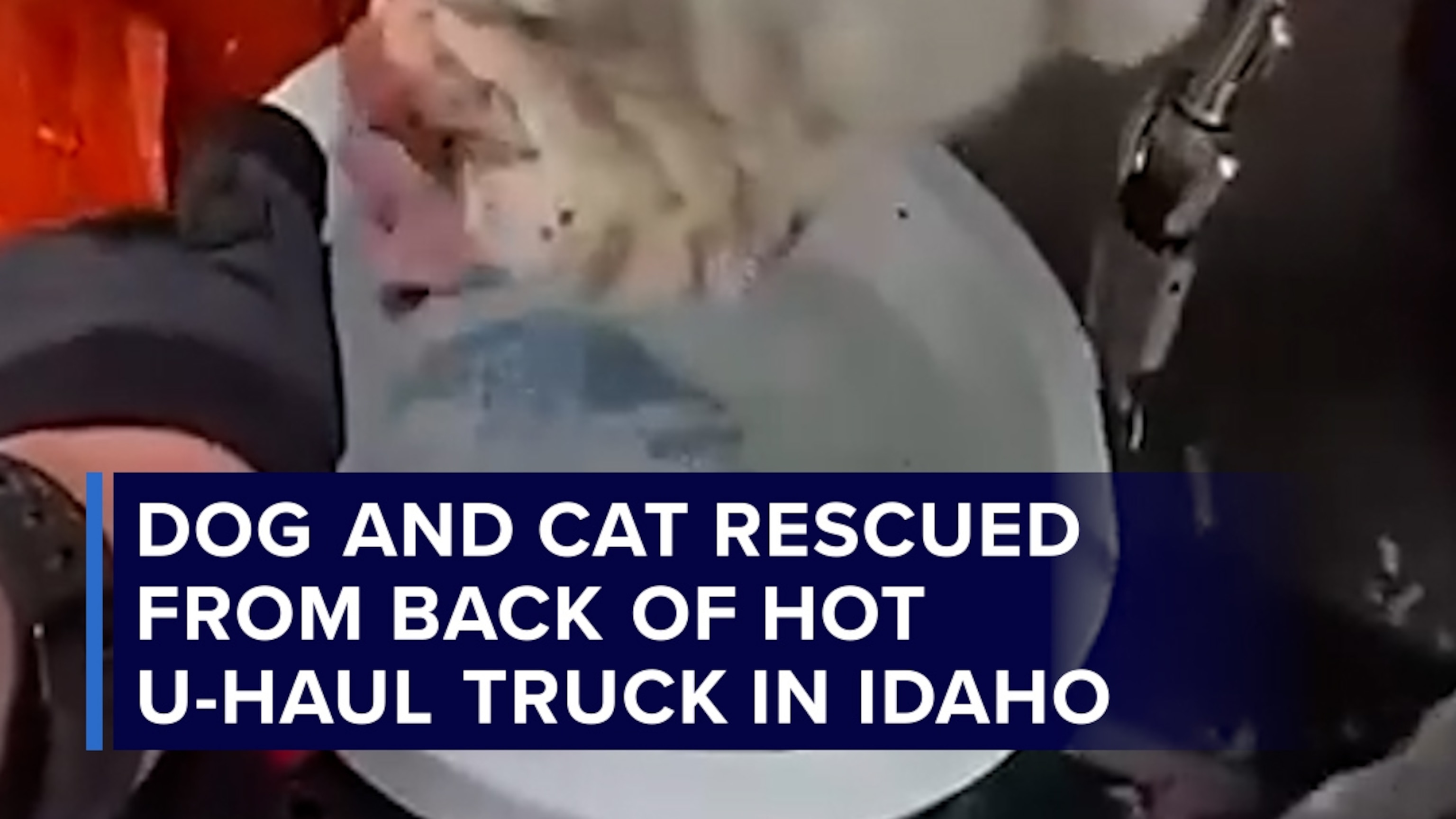Dog and cat rescued from back of hot U-Haul truck in Idaho