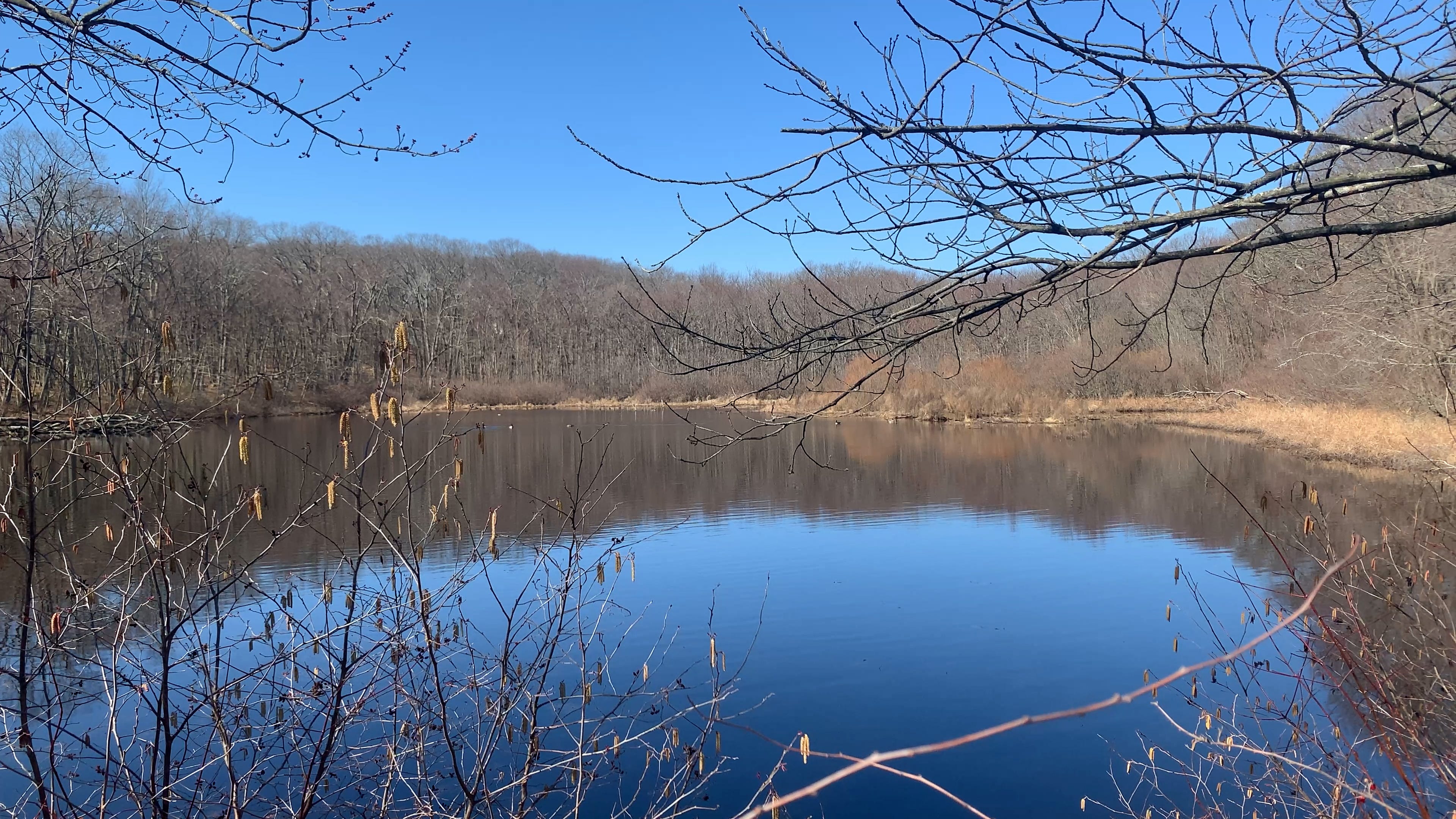 Johnston faces setback in fight to seize 31-acre property by eminent domain